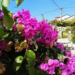 Aurora Apartment, * Zadar