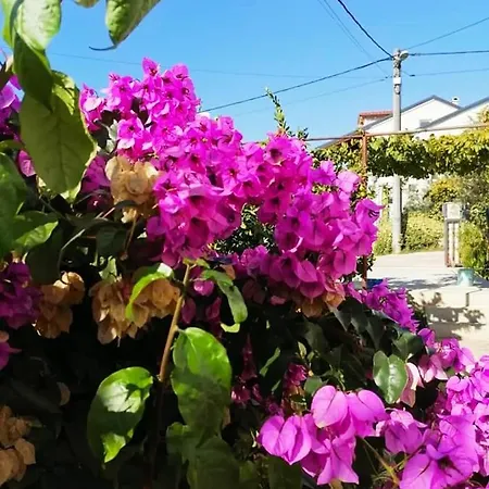 Aurora Apartment, * Zadar